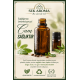 Sek Aroma Göbek Anason Yağı 15 ML (5 LİTREYE UYUMLU)